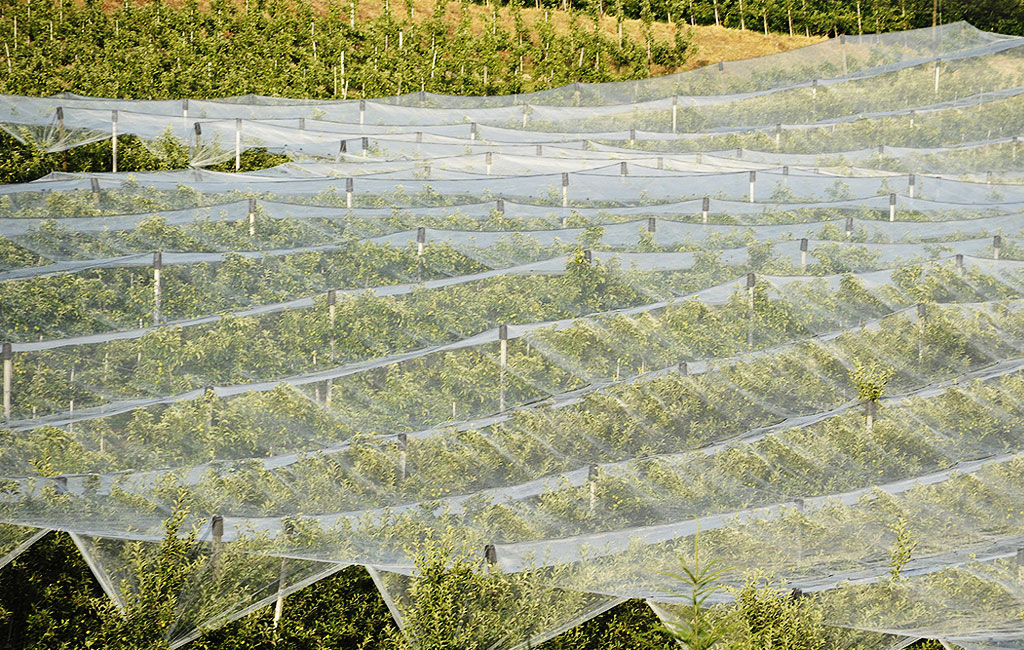 پارچه اسپان باند برای مصارف کشاورزی چه مزایایی دارد؟